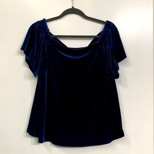 WHBM velvet blue blouse